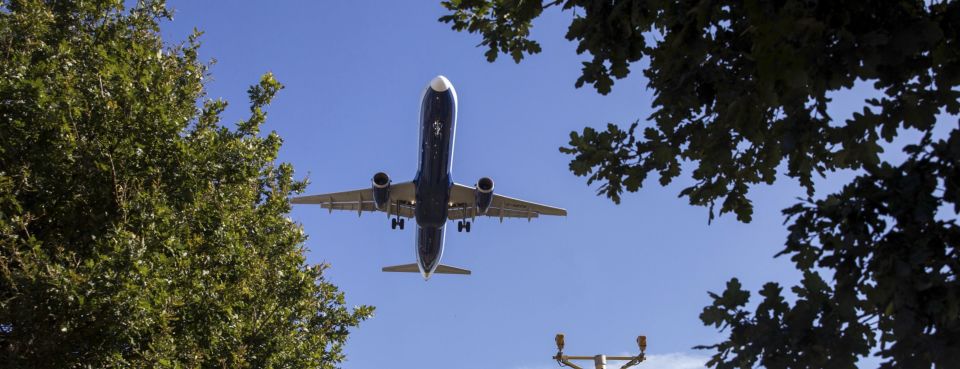 A plane flying low over trees and some bushes